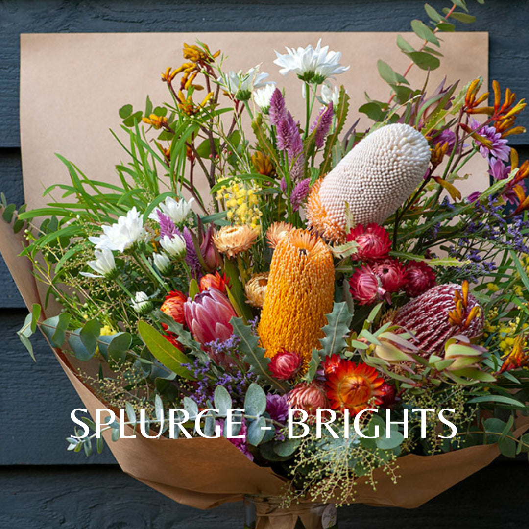 Wildly Beautiful - Florist's Choice